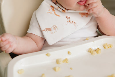 Organic Pima Cotton bandana bib by August & Ivy™ with stylish, soft fabric featuring a classic bandana pattern for babies.